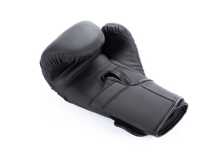 DBX Bushido Rękawice bokserskie Hammer Black