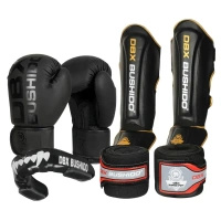 Zestaw Startowy do Kickboxingu DBX Bushido Mono