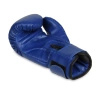 DBX Bushido Rękawice bokserskie dla dzieci 4Fighter Blue