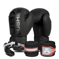 Zestaw Startowy do Boksu DBX Bushido Mono
