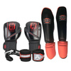 Zestaw startowy do kickboxingu Division B-2 TG02 CARBON