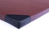 Ring Materac gimnastyczny 200 x 120 x 5 cm skaj R90 brązowy