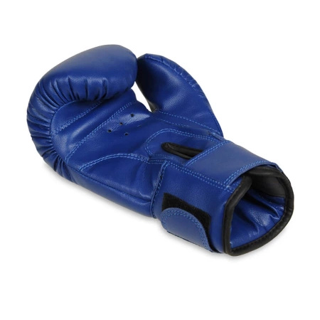DBX Bushido Rękawice bokserskie dla dzieci 4Fighter Blue