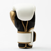 Everlast Rękawice bokserskie Powerlock 2 White/Gold