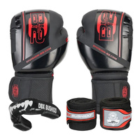 Zestaw startowy do boksu Division B-2 TG02 CARBON