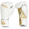 DBX Bushido Rękawice bokserskie Hammer White