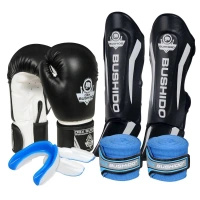 Zestaw Startowy do Kickboxingu DBX Bushido Classic White